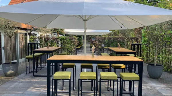 1771321561-Terras 1